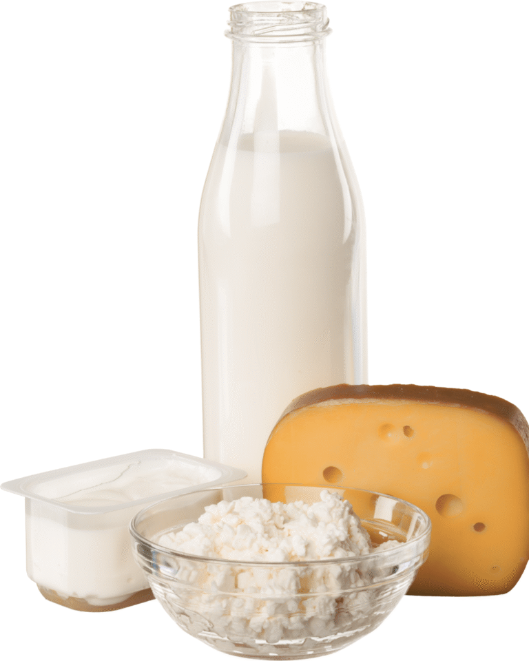 Dairy Products