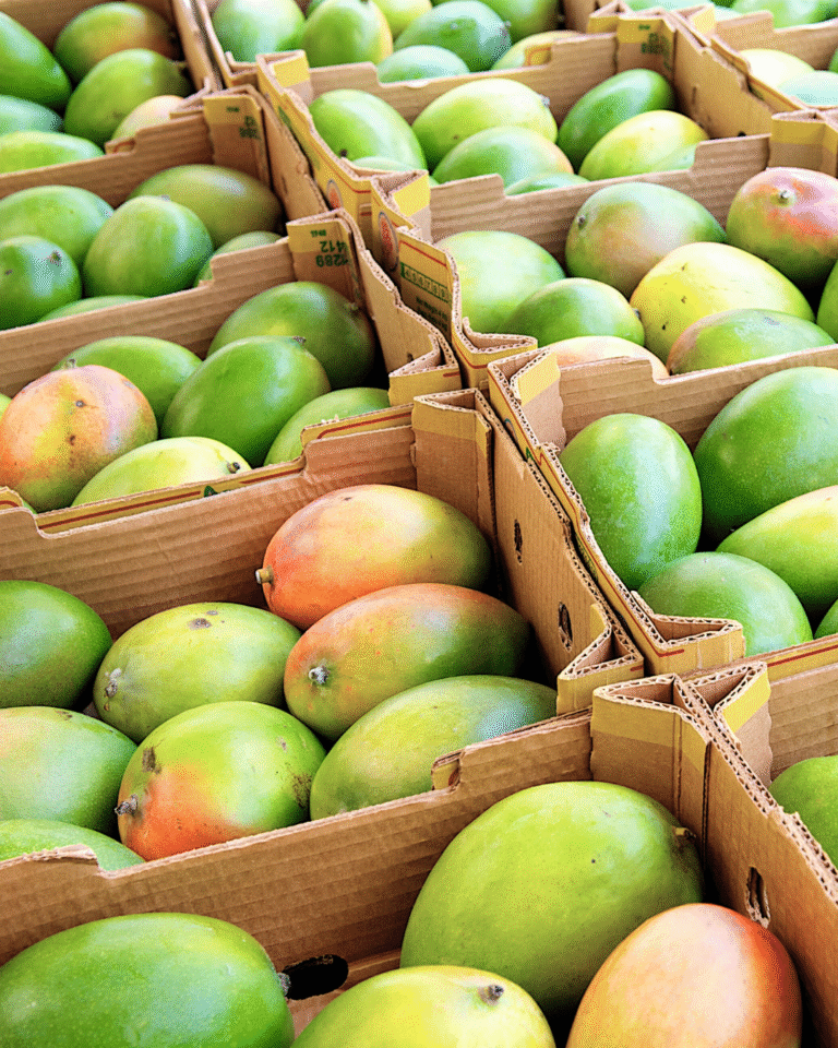 Untitled design - 2025-07-16T181050.834